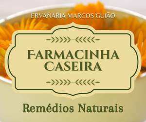Farmacinha Caseira de Remédios Naturais com Plantas Medicinais 1 Farmacinha Caseira de Remédios Naturais com Plantas Medicinais Curso.blog.br