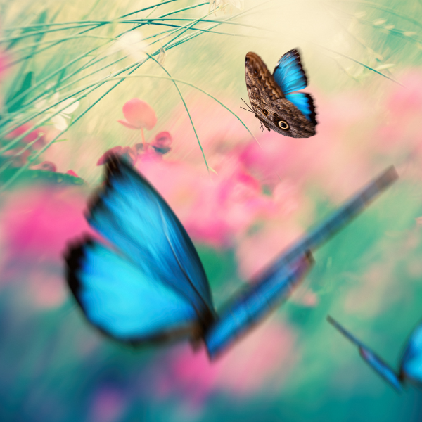 Apostila de Fatias Lucrativas 2.0 – Transforme sua Vida na Confeitaria! 2 Apostila de Fatias Lucrativas 2.0 – Transforme sua Vida na Confeitaria! CUPOM DE DESCONTO