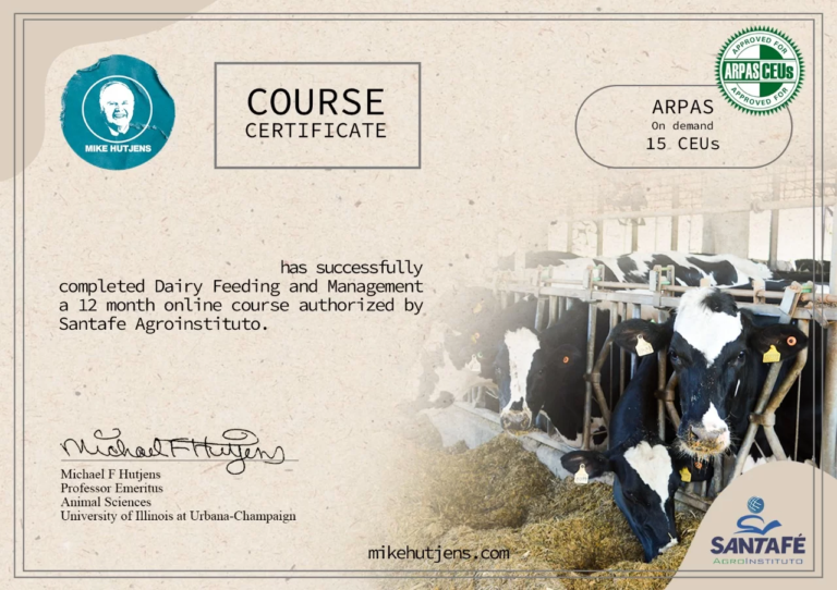 [BR] Member Black - 2 anos de acesso!