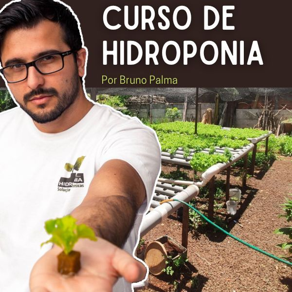 Curso de Hidroponia - Por Bruno Palma CUPOM DE DESCONTO