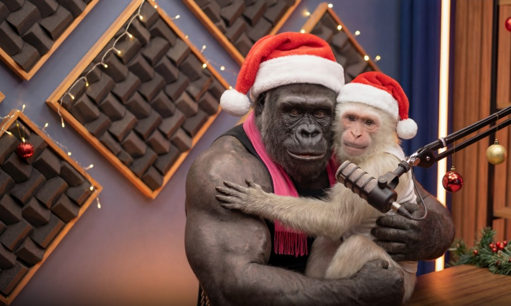 Como Criar Canal Dark Viral com IA em 2026: A Verdade Sobre o Método GorilaCast CUPOM DE DESCONTO